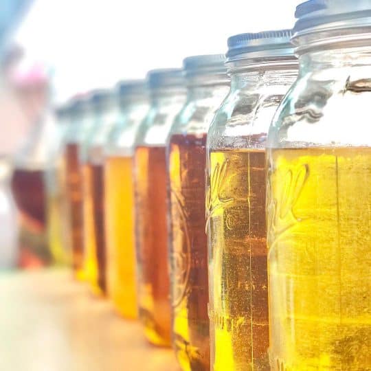 Ormond-by-the-Sea, FL CBD Isolate Distillate Oil Wholesale